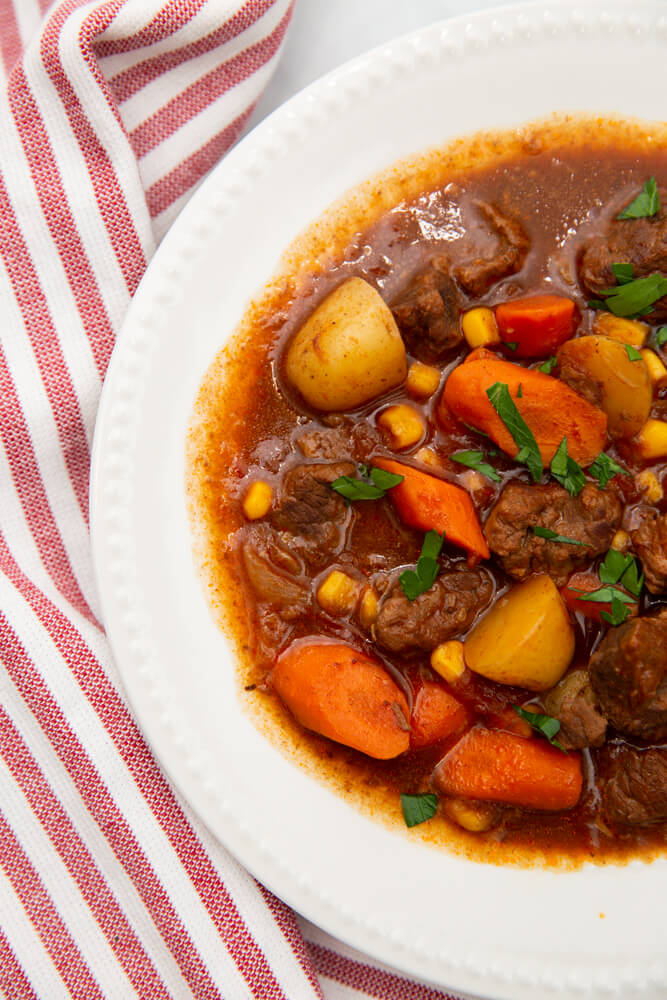 beef stew in a white bowl vertical