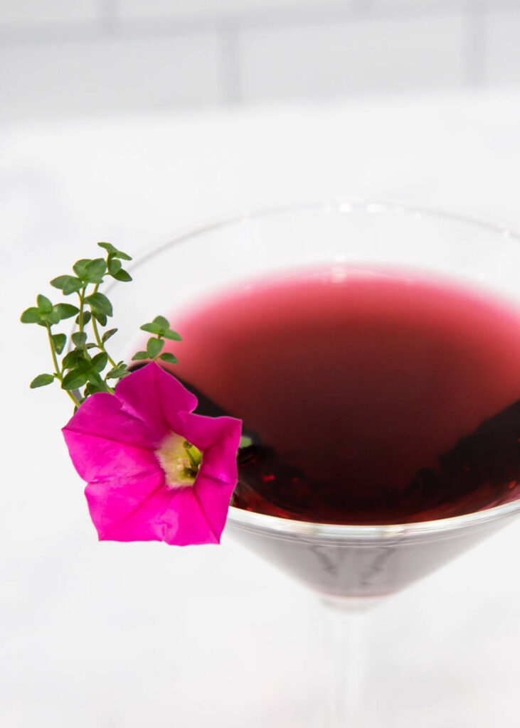 royal martini gin cocktail garnished with a pink flower and thyme sprig